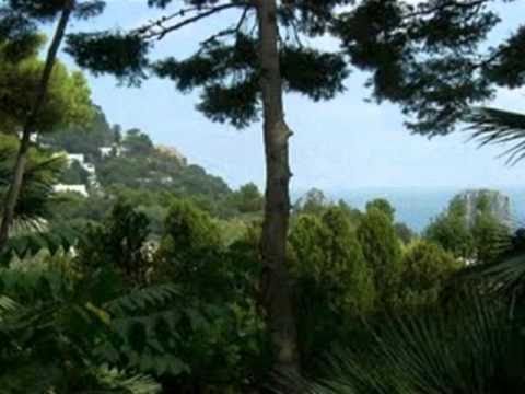 My Choice 705 - Ennio Morricone: Once Upon a Time in the West