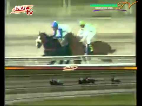 LA RINCONADA 9 CARRERA SABADO 29 DE NOVIEMBRE DEL 2014