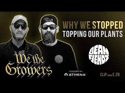 Why We Stopped Topping Our Plants... Ft. Beanfiendz