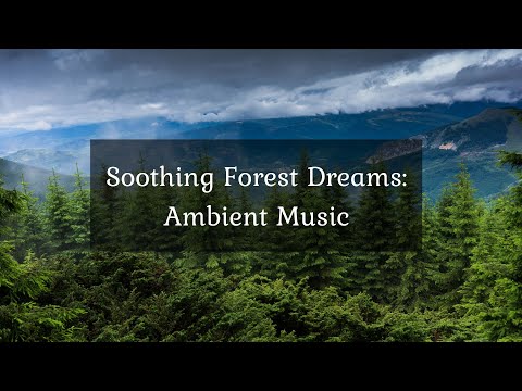 [] Soothing Forest Dreams: Ambient Music • 4k Video UltraHD