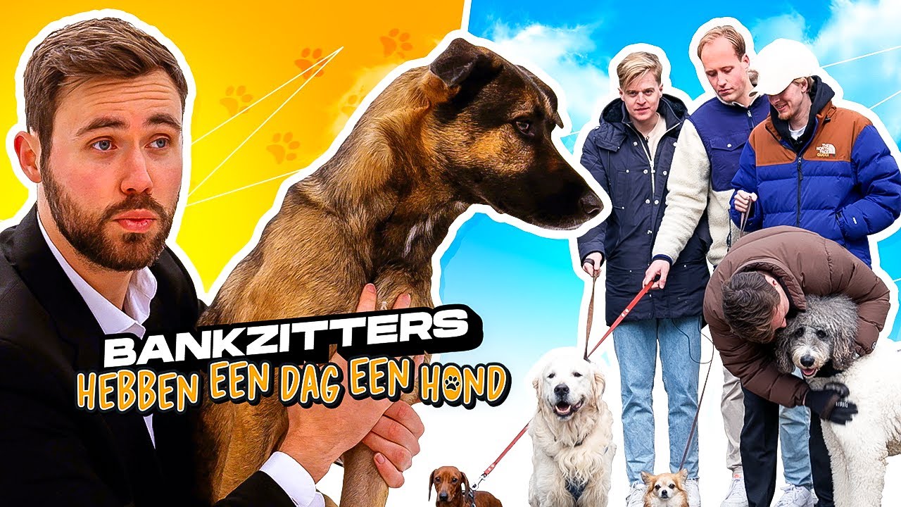 BANKZITTERS HEBBEN VOOR ÉÉN DAG EEN HOND