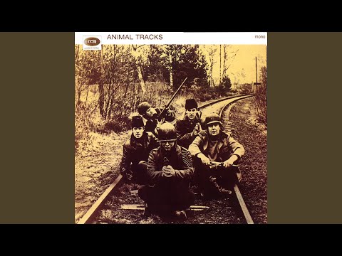 For Miss Caulker - The Animals