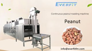 Continuous Nut Roasting Line For Peanut Cashew Chinese Supplier