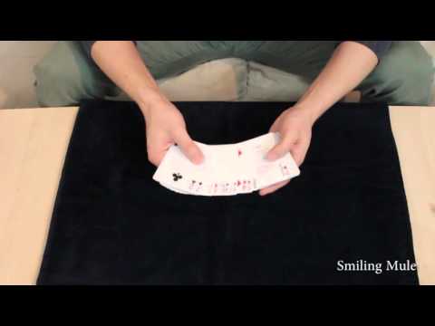 [Kartentrick] Smiling Mule by Roy Walton // Vorführung/Erklärung GERMAN