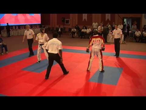 Davide Sfulcini v Timmy Sarantoudis  WAKO World Championships 2013