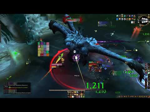 Honestly Vs Mythic Fetid Devourer OCEANIC SECOND Prot Paladin PoV