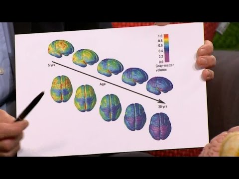 Så påverkas unga hjärnor av testosteron - Malou Efter tio (TV4)