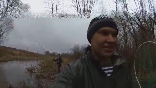 Ловля на малых реках карпа