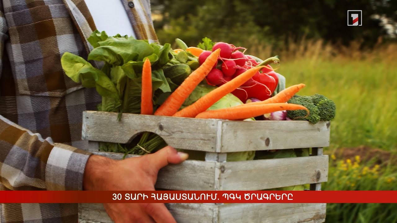 30 տարի Հայաստանում. ՊԳԿ ծրագրերը