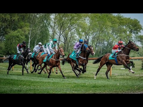 Živě: Sledujte sváteční dostihové odpoledne z Lysé nad Labem