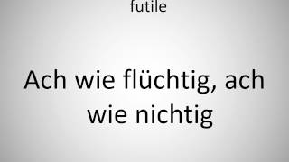 How to say Ah! how fleeting, ah how futile in German?