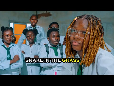 Snake In The Grass Best Of Success (Best Of Success)