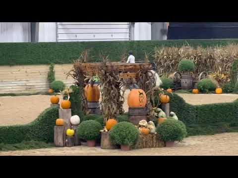 Sun Day video 2