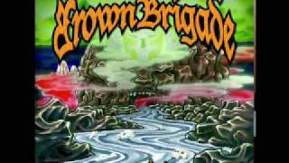 Brown Brigade - Blame the Wizards