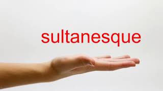 How to Pronounce sultanesque - American English