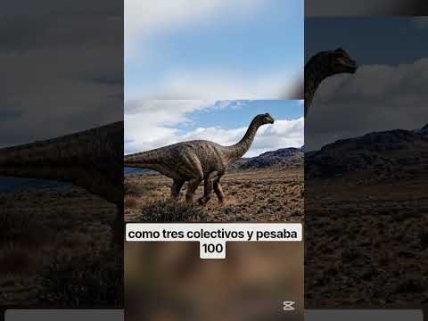 `El ANIMAL más GRANDE de la historia vivió en Neuquén 😱 35 metros y 100 toneladas #shorts`