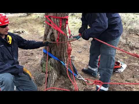 Technical Rescue - Reach and Treat