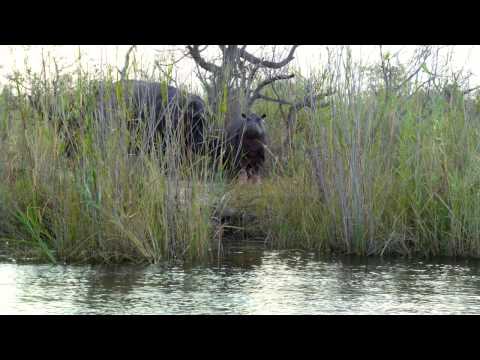 Namibia Botswana Zimbabwe Bushmen, Caprivi Strip, Vic Falls
