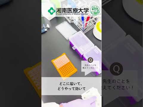 ＼ まるっと薬学部 ／ 薬物動態学研究室　小野塚真理先生