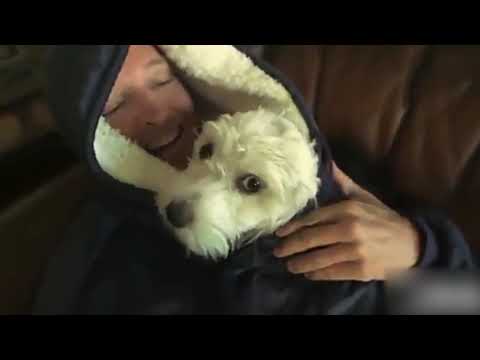 LB Плед толстовка с Smart Option капюшоном HUGGLE HOODIE синий для дома и отдыха уютная теплая одежда SIM-4K9 - фото 1 - id-p2816525482