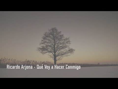 Qué Voy a Hacer Conmigo  - Ricardo Arjona - Letra