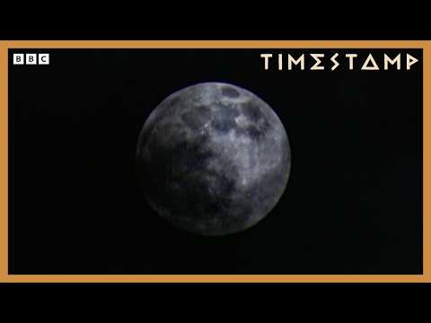 Who Were The Druids? | Bbc Timestamp