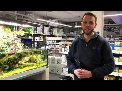 Watch Video on YouTube