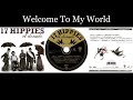 17 Hippies - El Dorado - 03 Welcome To My World