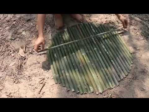 20 $ Days $ Survival And Build In The Rain Forest   Full Video