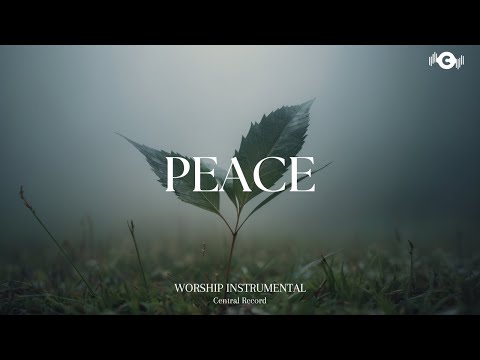 PEACE - Soaking worship instrumental | Prayer and Devotional