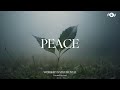 PEACE Soaking Worship Instrumental Prayer And Devotional