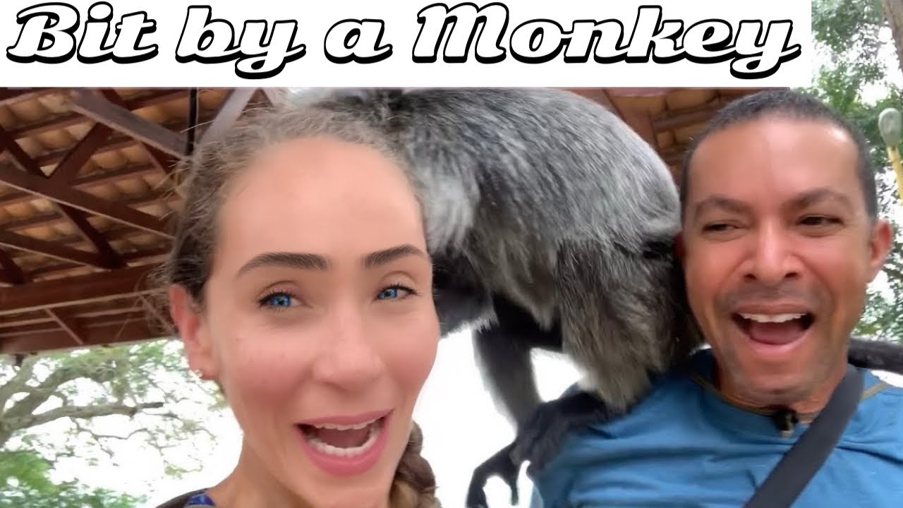 BIT BY A MONKEY + Sky Mirror Island, Kuala Selangor - Malaysia
