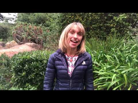 Springwatch 2020  Episode 1