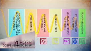 Ссылка