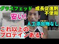 グラスフェッド、香料・人工甘味料不使用、人工ホルモン不使用、そして安いプロテイン!これ以上のプロテインある?FIXITのプロテイン・プレーン、抹茶、ココア味を味見してみる!