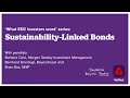 Sustainability Linked Bonds - what ESG Investors Want