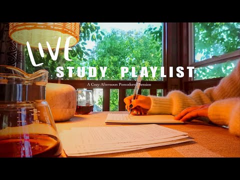 [LIVE] Your 24/7 Lofi Hip Hop Radio | Chill Beats to Study / Work / Relax To and Feel Happy