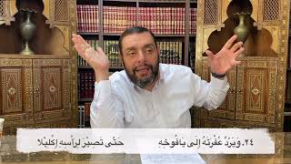 كرسي المتنبي (شرح ديوان المتنبي) - حلقة (376) - يَطَأُ الثَّرَى مُتَرَفِّقًا مِنْ تِيْهِهِ image