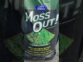 How to Kill Moss Fast and Easy - #shorts #lawn #yardwork