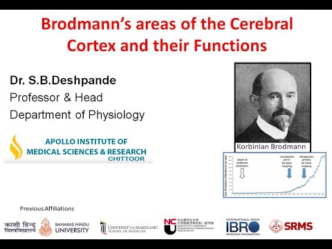 Brodmann’s areas of the Cerebral Cortex and their Functions by SB Deshpande