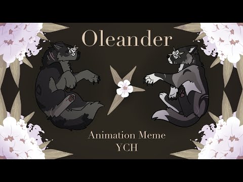 Oleander | Complete YCH