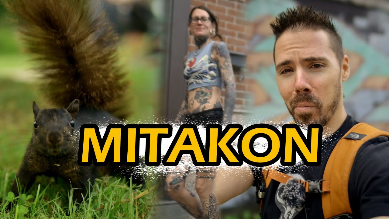 Video thumbnail for Video Review 2