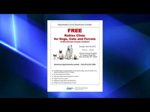 NY Westchester County Rabies Clinic To Administer Free Rabies Shots