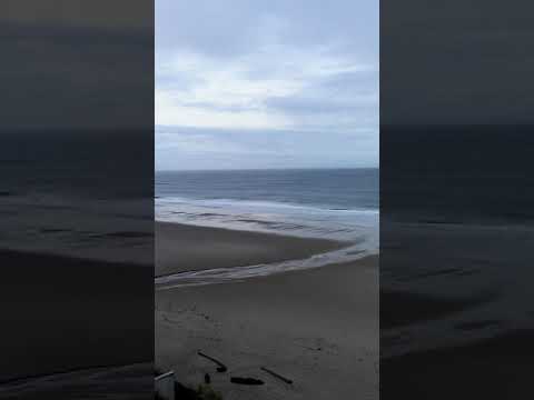 Starfish manor motel