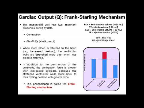 What is the Frank-Starling Mechanism in Cardiophysiology?