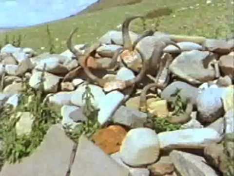 DOKU Terra X - 12 - Vorstoss nach Eldorado: Expedition durch Peru Teil 1