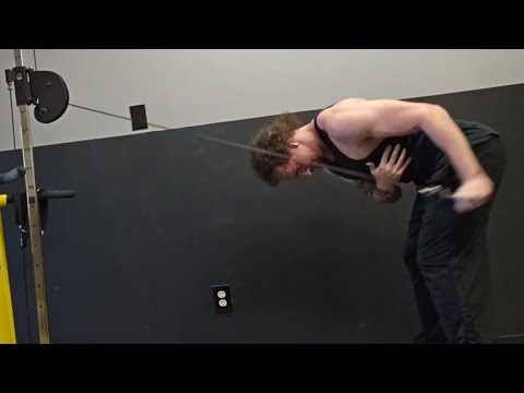 Day 24 Of Fall Cut Arm Day