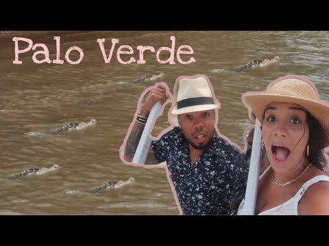 Palo Verde | Costa Rica | Vlog |
