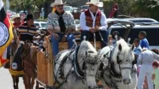 preview picture of video 'Chalo Nitka Parade 2009'