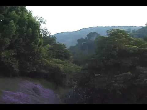 David Lynch Sunset Awating the dawn